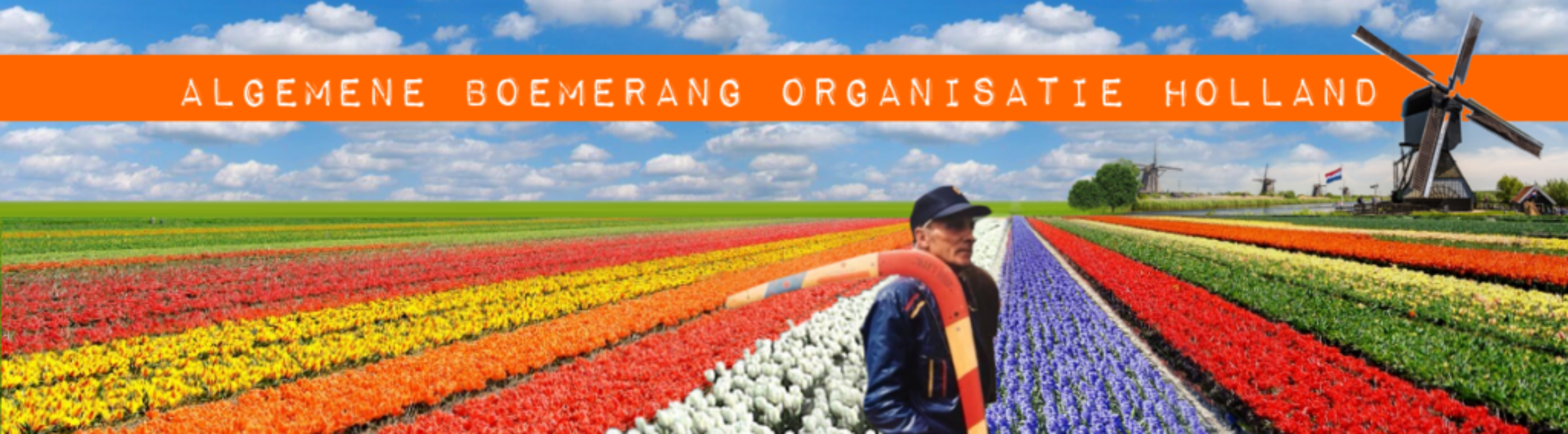 Aboholland